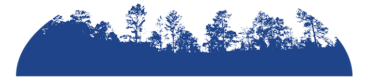 header01_blue05