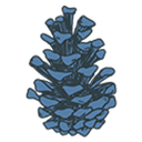 pinecones02